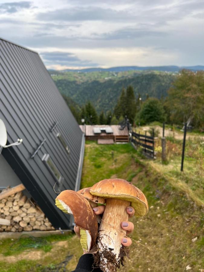 Nordik Cabin - Aframe With 2 Bedrooms Mărişel Eksteriør bilde